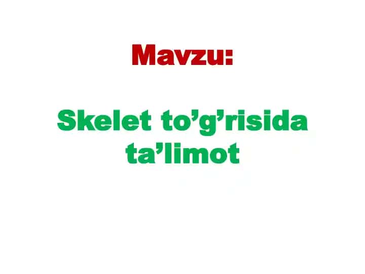 Skeletto’g’risi dasturi