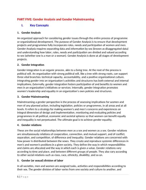 Gender Analysis Framework