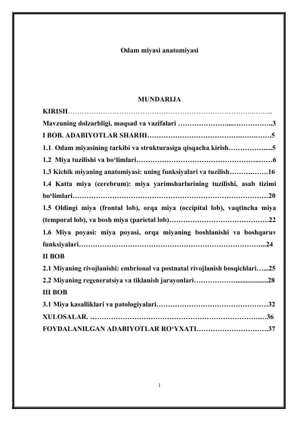 Odam miyasi anatomiyasi