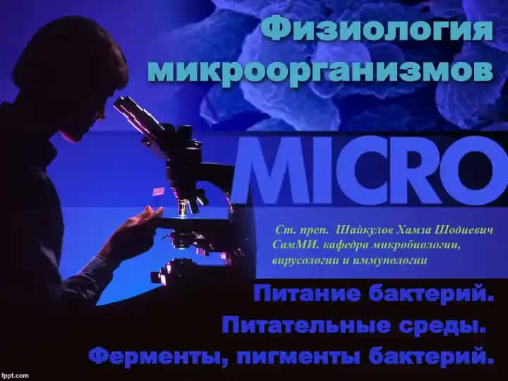 Физиология микроорганизмов