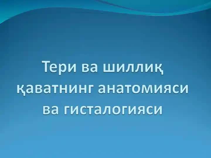 Тери-инсон танасини қоплаб турувчи аъзо
