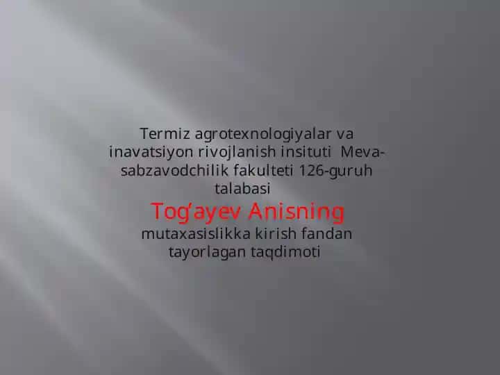 Kartoshka saqlash texnologiyalari