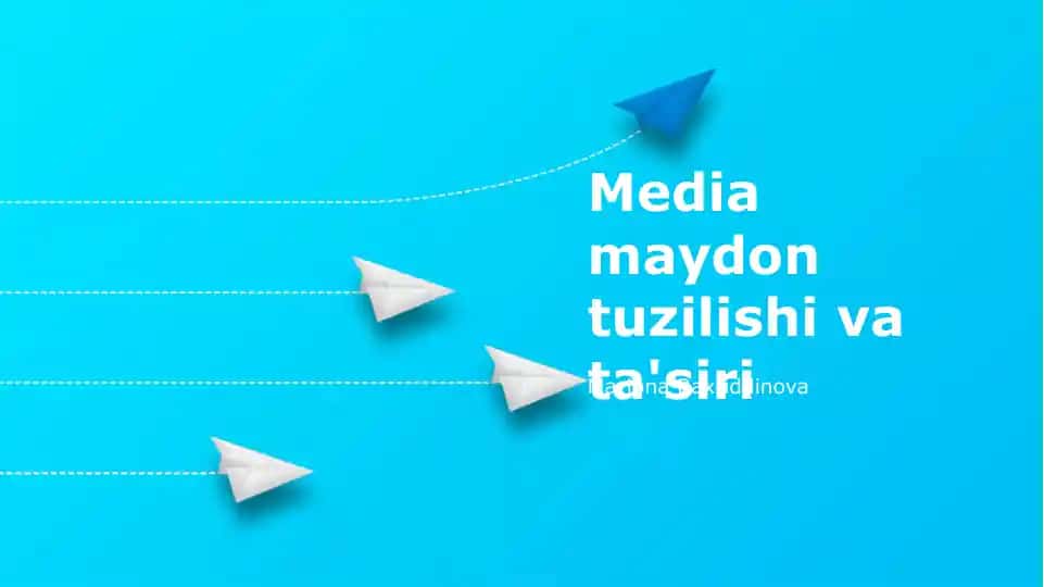 Media maydon tuzilishi va ta'siri