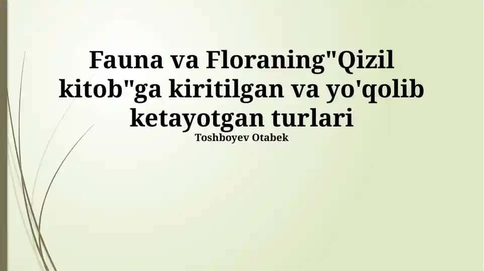 Qizil Kitob
