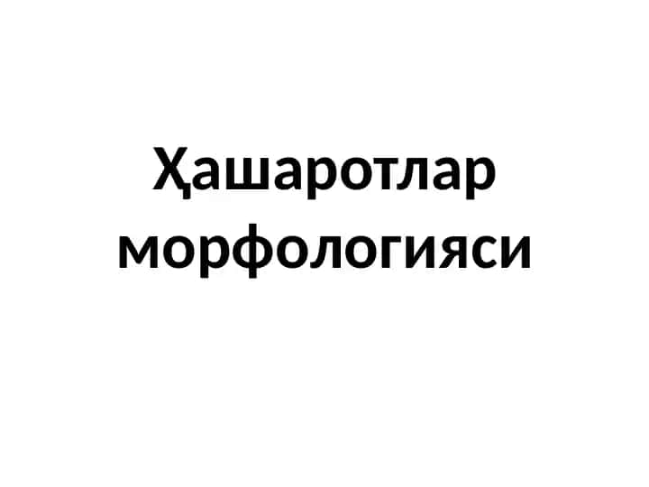 Ҳашаротларморфологияси
