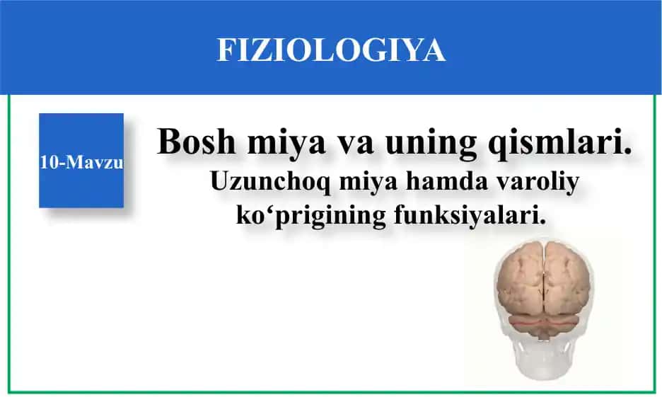FIZIOLOGIYA