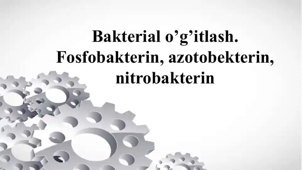 Bakterial o’g’itlash.Fosfobakterin, azotobekterin, nitrobakterin