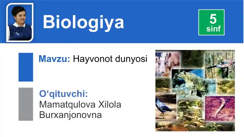 Hayvonlarning tabiatdagi ahamiyati