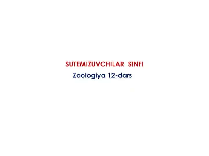 SUTEMIZUVCHILAR SINFI