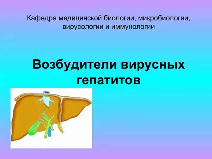 Возбудители вирусных гепатитов