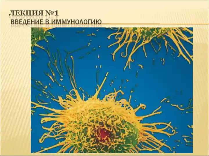 Иммунология