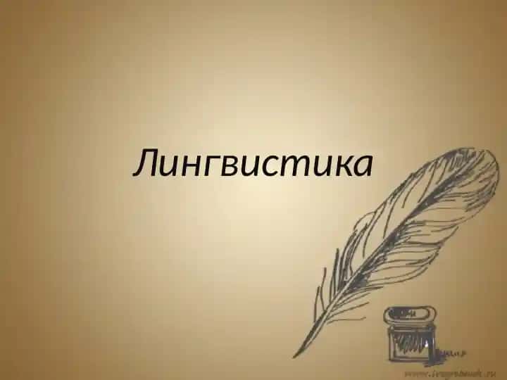 Лингвистика