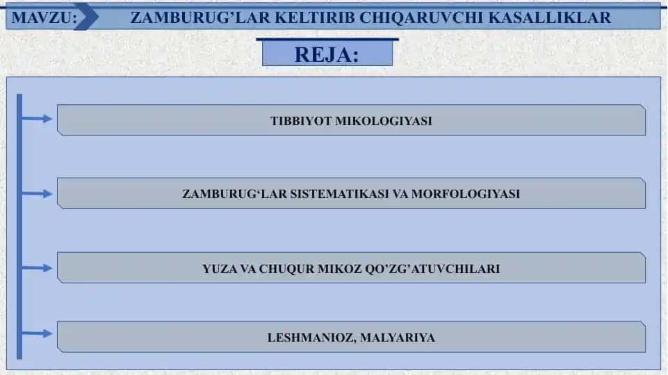 ZAMBURUG’LAR KELTIRIB CHIQARUVCHI KASALLIKLAR