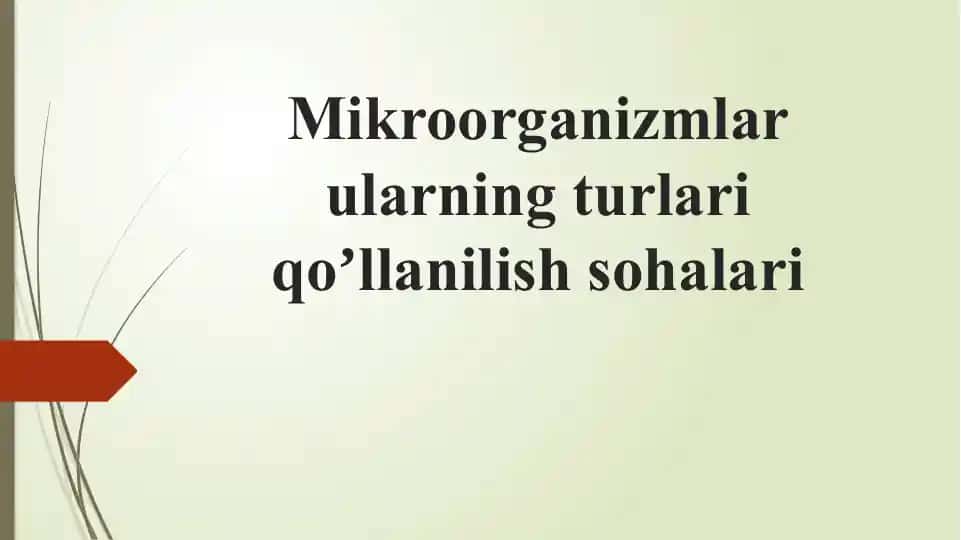 Mikroorganizmlar taqdimoti