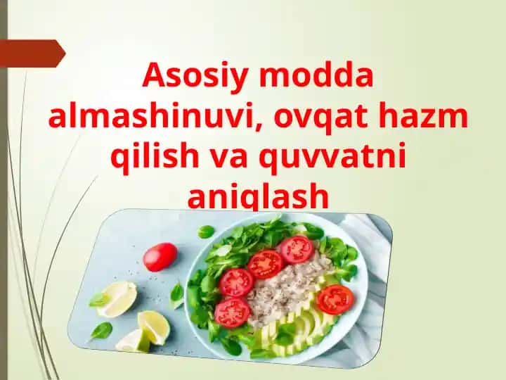 Asosiy modda almashinuvi, ovqat hazm qilish va quvvatni aniqlash