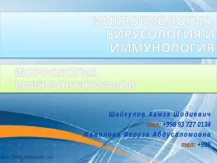 МИКРОБИОЛОГИЯ, ВИРУСОЛОГИЯ И ИММУНОЛОГИЯ
