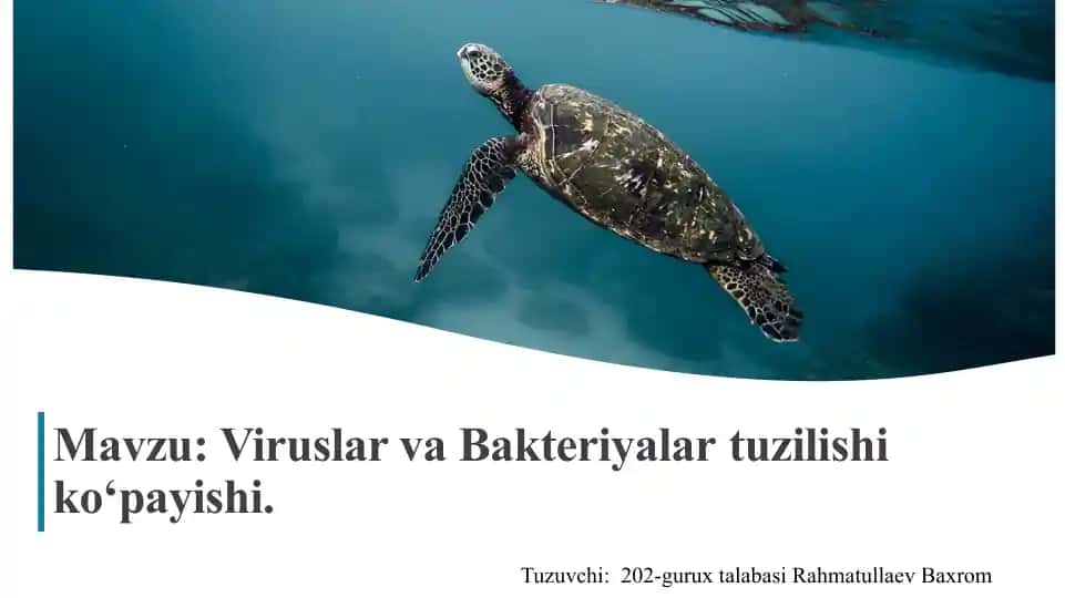 Viruslar va Bakteriyalartuzilishi