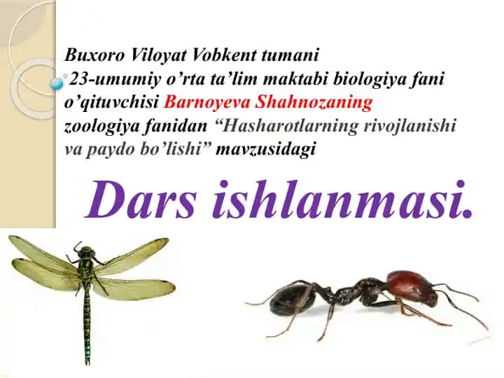 Dars ishlanmasi "Hasharotlarning rivojlanishi va paydo bo’lishi"