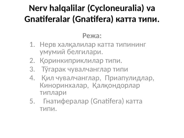 Nervhalqalilar(Cycloneuralia) va Gnatiferalar(Gnatifera) катта типи