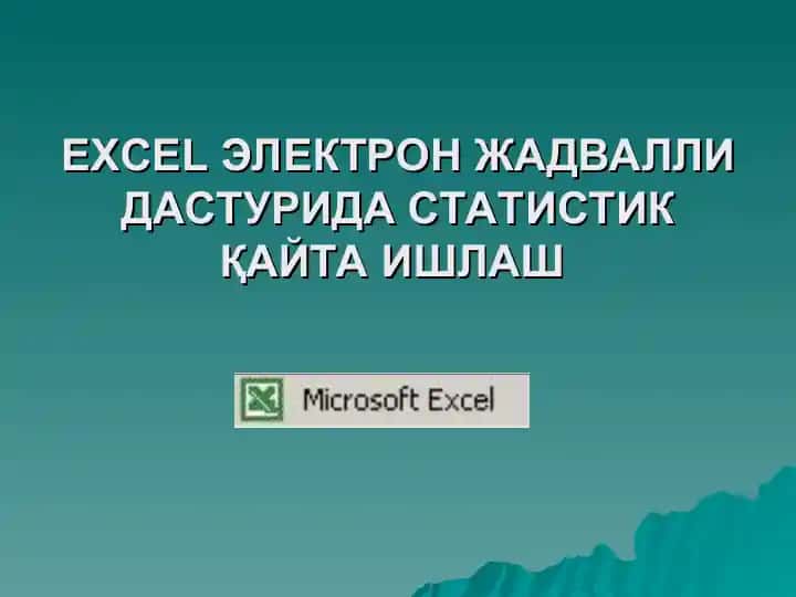 Microsoft Excel