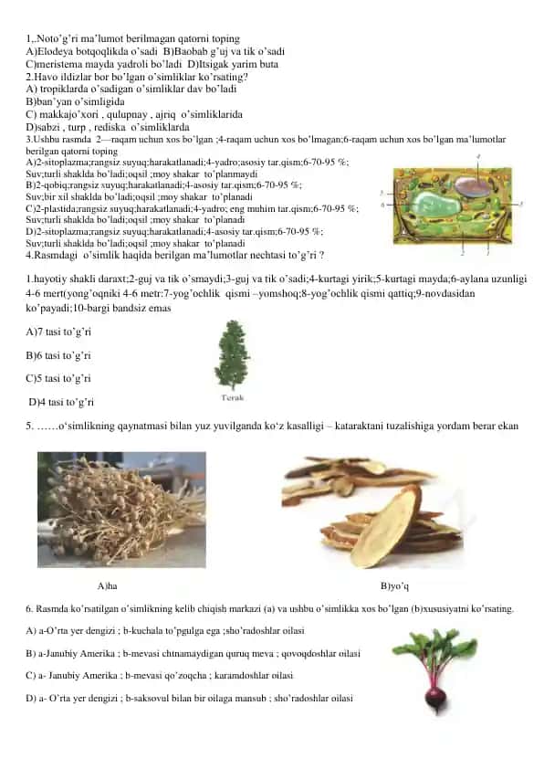Biologiya fanini o'qitish uchun topshiriqlar