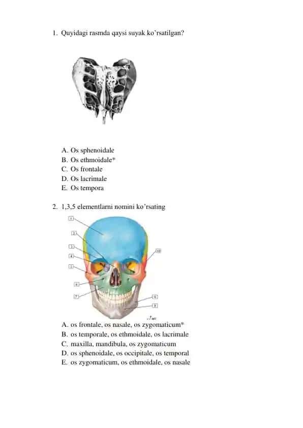 Anatomiya test savollari