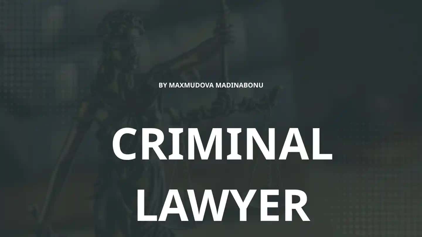 Criminal Lawyer