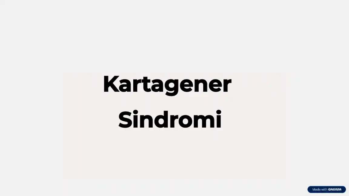 Kartagener Sindromi