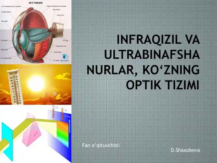 Infraqizil va Ultrabinafsha Nurlar, Ko‘zning Optik Tizimi