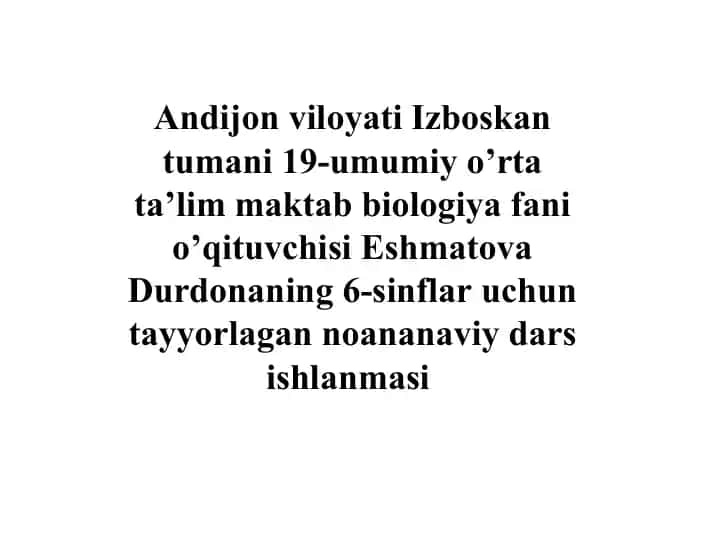 Noananaviy dars ishlanmasi