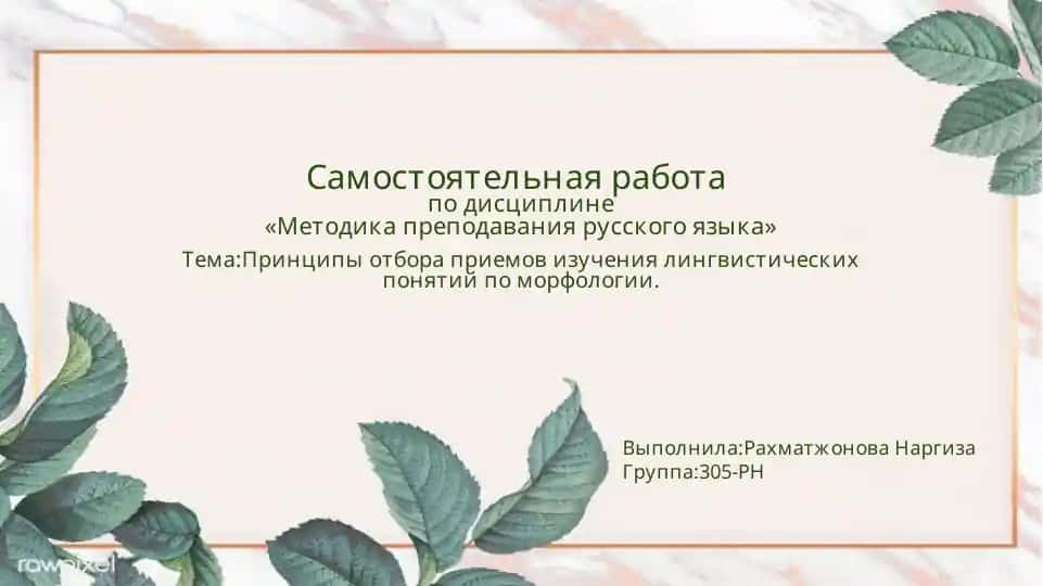 Методика преподавания русского языка