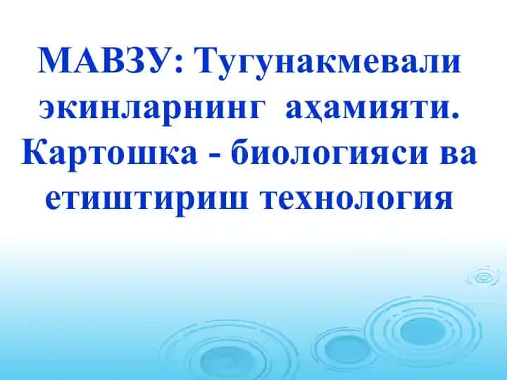 Туганакмевали экинларнинг аҳамияти. Картошка - биологияси ва етиштириш технология