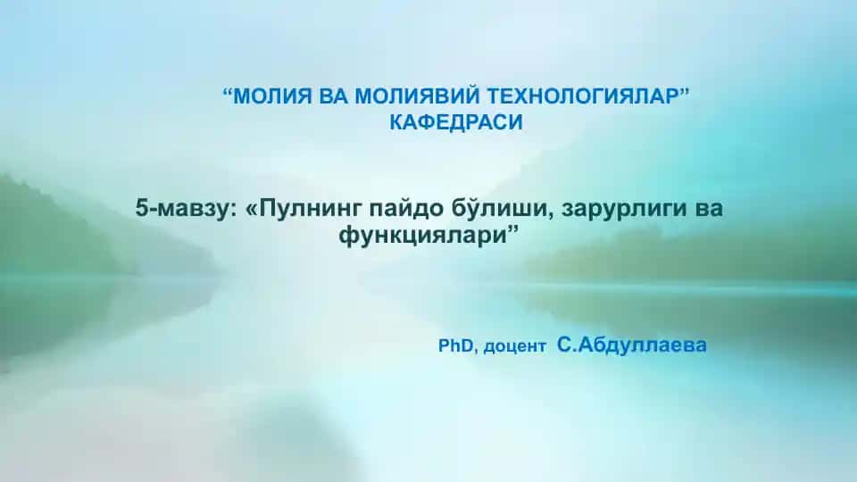 Pulning paydo bo'lishi, zarurligi va funktsiyalari