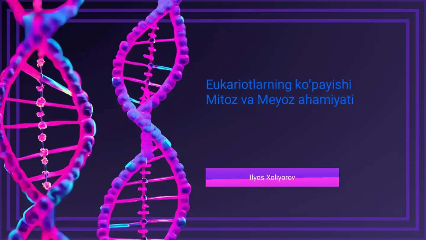 Eukariotlarning koʻpayishi
