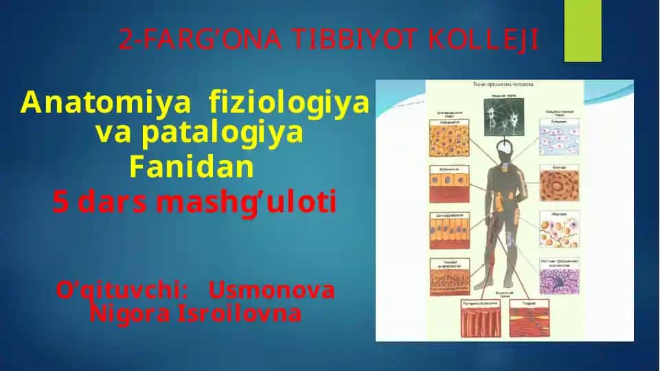 Anatomiyafiziologiyavapatalogiya Fanidan 5darsmashg’uloti