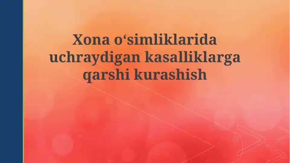 Uy o'simliklarida uchraydigan kasalliklarga qarshi kurash