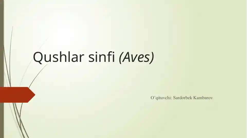 Qushlarsinfi(Aves)