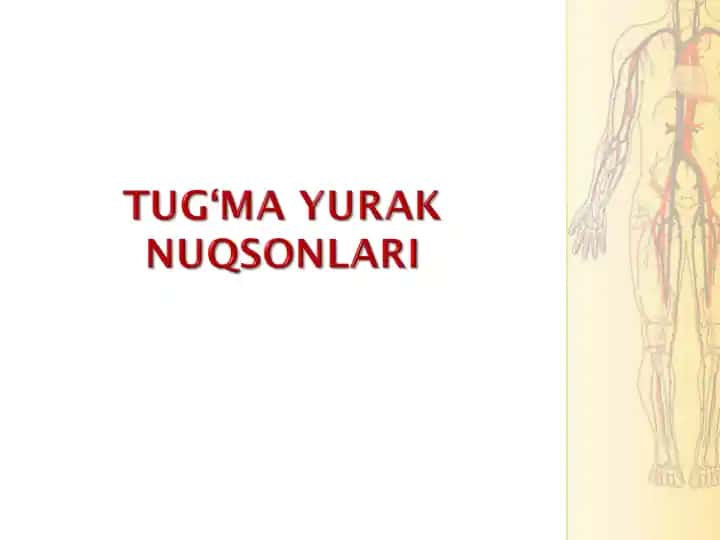 Tug‘ma yurak nuqsonlari