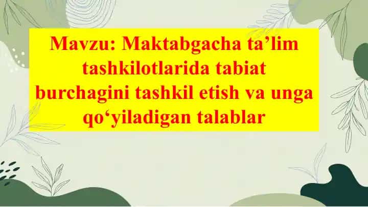 Databiat burchagi ta'lim tashkilotlari