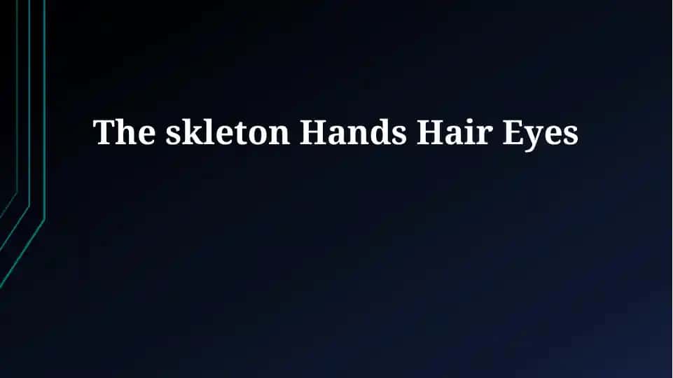 The Body's Framework: Skeleton and Hands