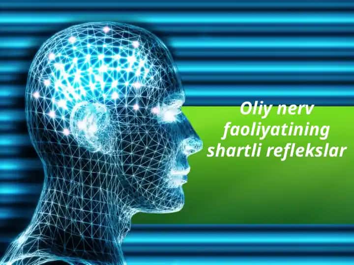 Oliy nerv faoliyatining shartli reflekslar