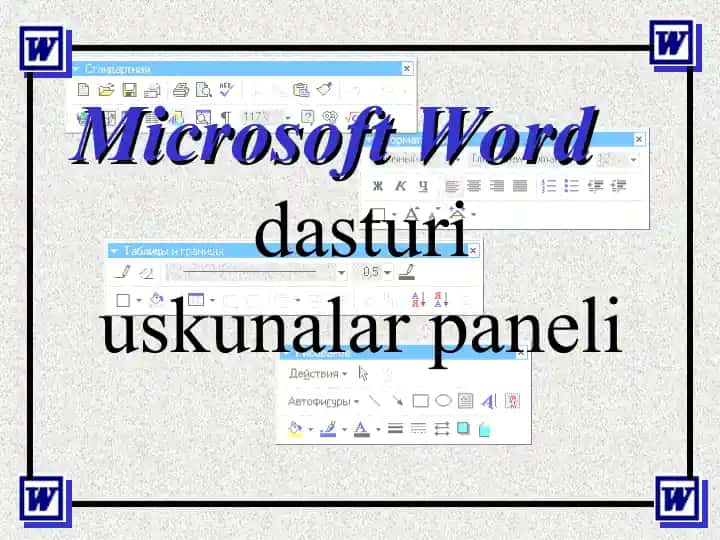 Microsoft Word