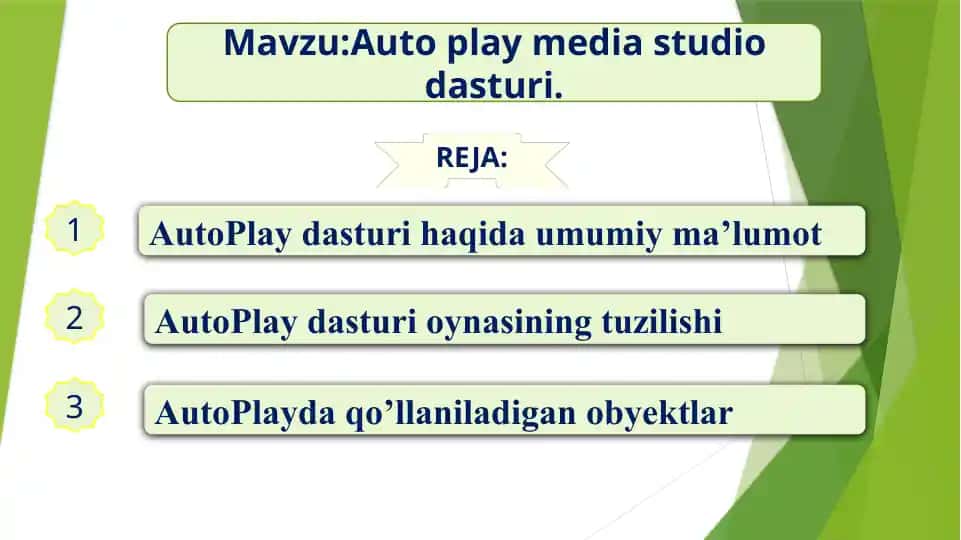 AutoPlay Media Studio 8