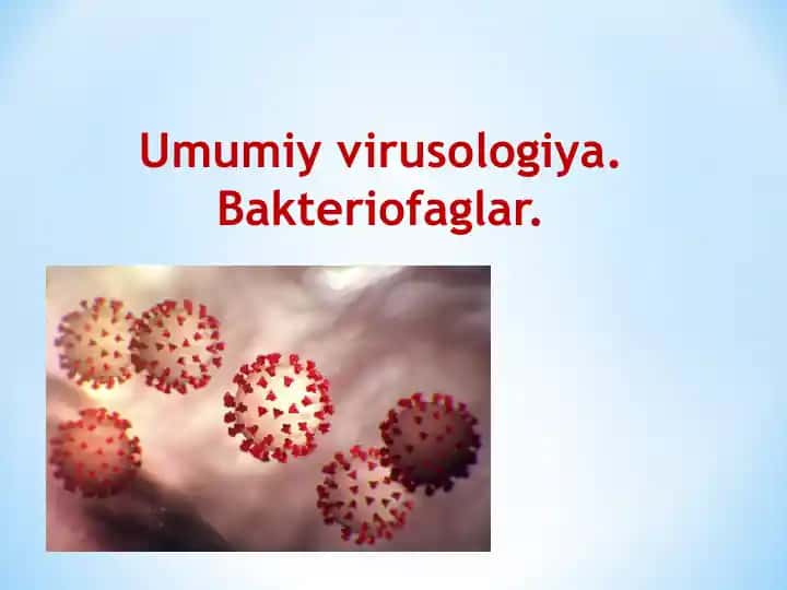 Bakteriofaglar
