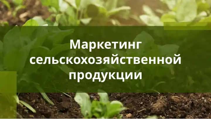 Маркетинг сельскохозяйственной продукции
