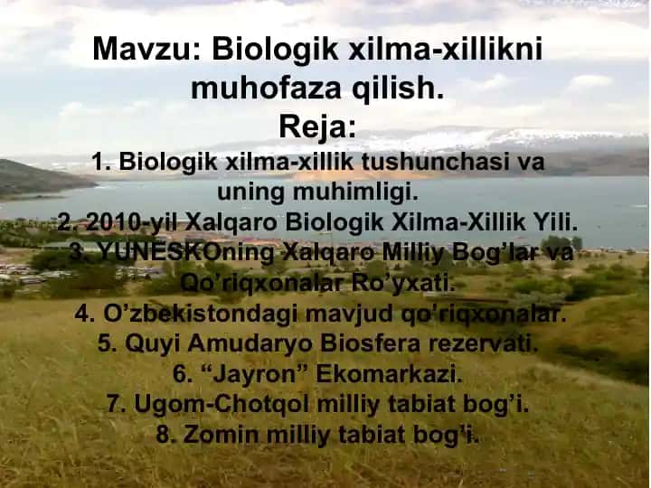 Ekologiya muammolari va ularning hal qilish yo'llari