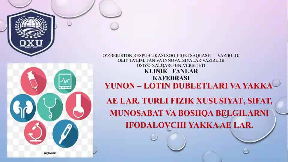 Yunon – lotin dublеtlari va yakka AE lar. Turli fizik xususiyat, sifat, munosabat va boshqa bеlgilarni ifodalovchi yakka AE lar.