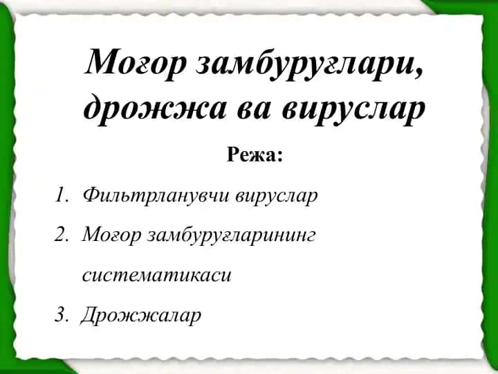 Моғор замбуруғлари, дрожжа ва вируслар