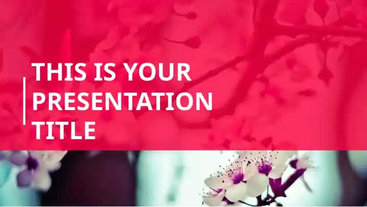 Presentation Template