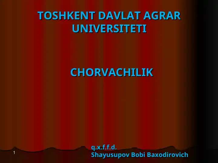 Chorvachilik